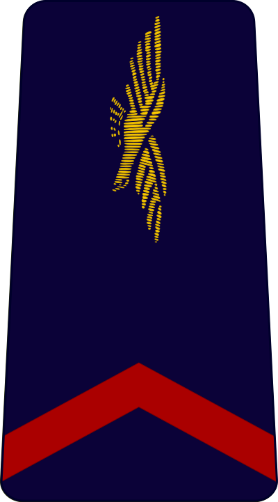 Aviateur de 1re classe insignia