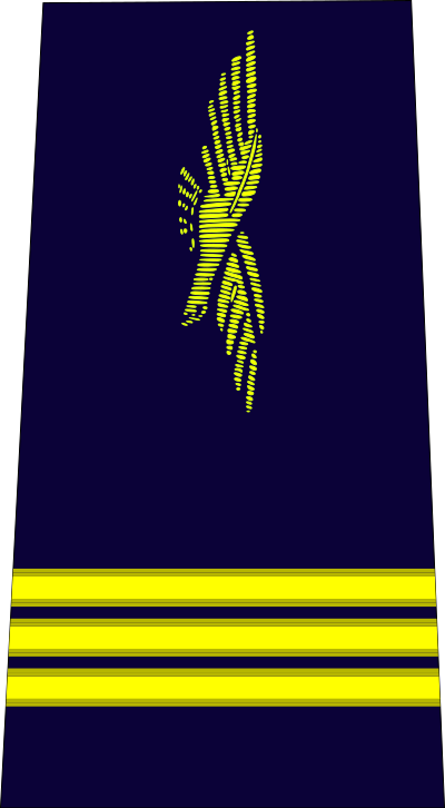Capitaine air force insignia