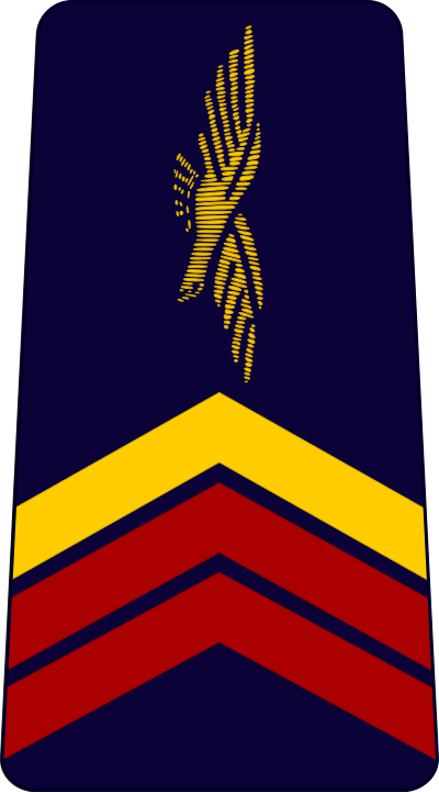 Caporal-chef air force insignia