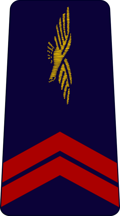 Caporal air force insignia