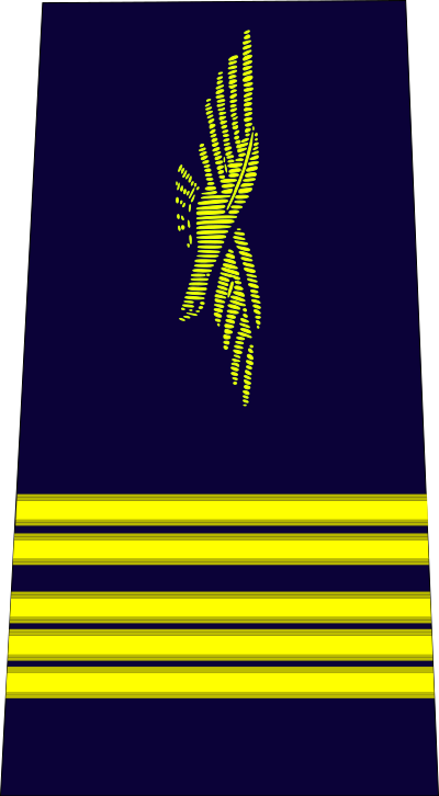Colonel air force insignia