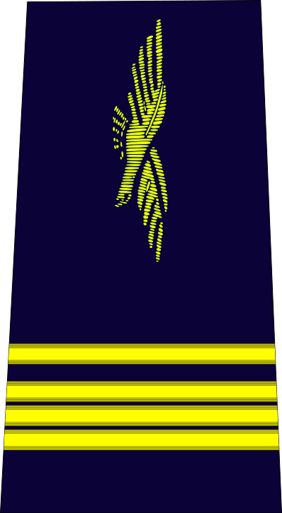 Commandant air force insignia