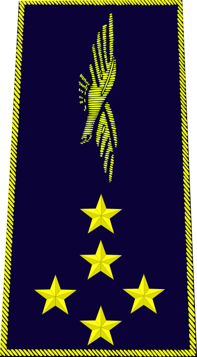 Général d'armée aérienne insignia