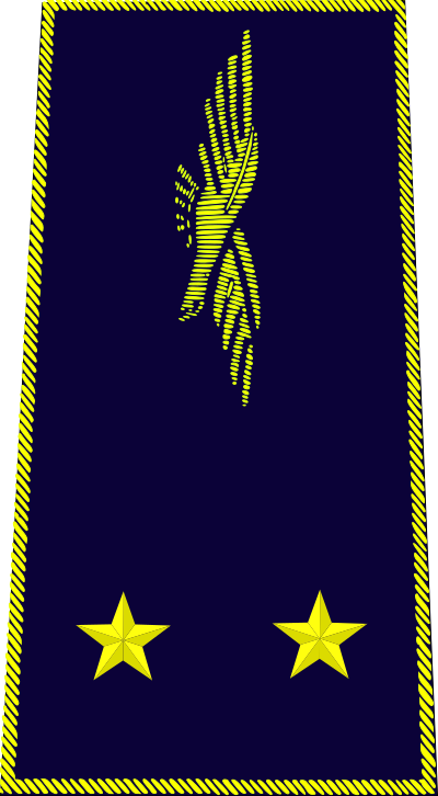 Général de brigade aérienne insignia