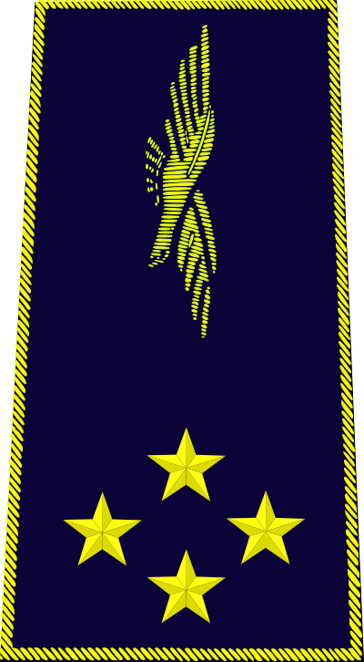 Général de corps aérien insignia