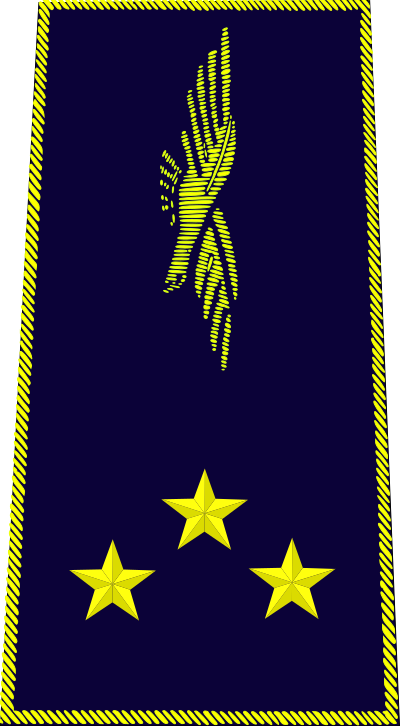 Général de division aérienne insignia