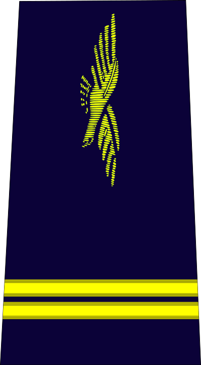 Lieutenant air force insignia