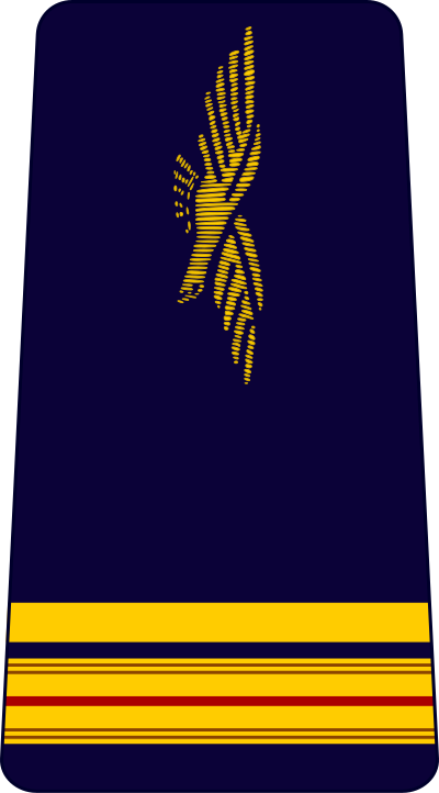 Major air force insignia
