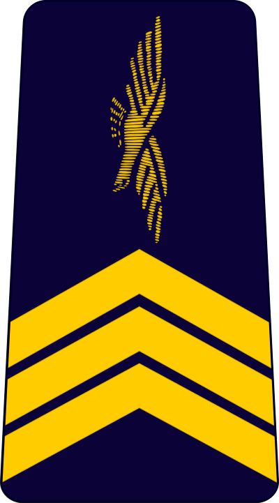 Sergent-chef air force insignia