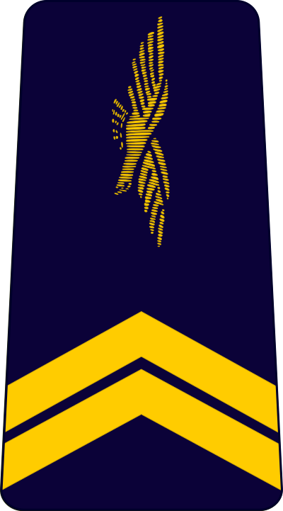 Sergent air force insignia