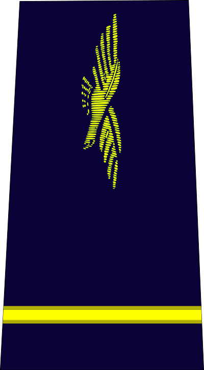 Sous-lieutenant air force insignia