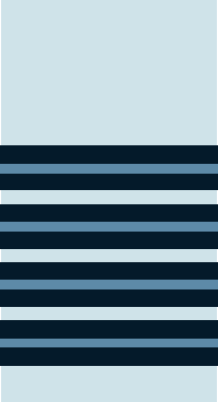 Group Captain insignia