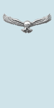 Aircraftsman sleeve insignia