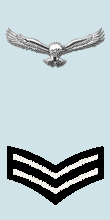Corporal sleeve insignia