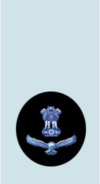 Junior Warrant Officer shoulder insignia