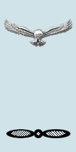 Leading Aircraftsman sleeve insignia