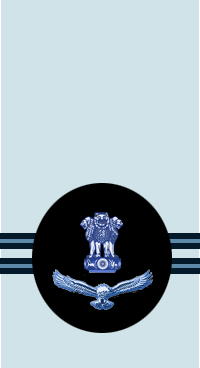 Master Warrant Officer shoulder insignia