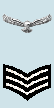 Sergeant sleeve insignia