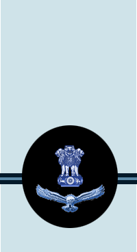 Warrant Officer shoulder insignia