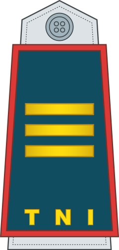 Kapten shoulder/sleeve insignia
