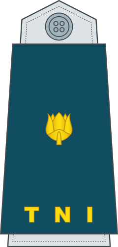 Mayor shoulder/sleeve insignia