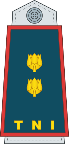 Letnan Kolonel shoulder/sleeve insignia