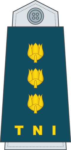 Kolonel shoulder/sleeve insignia