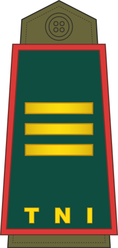 Kapten shoulder/sleeve insignia