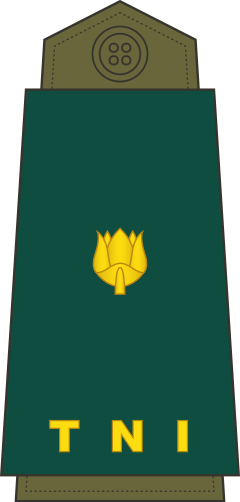 Mayor shoulder/sleeve insignia
