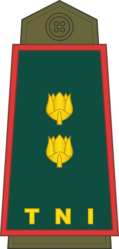 Letnan Kolonel shoulder/sleeve insignia