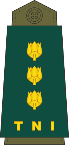 Kolonel shoulder/sleeve insignia
