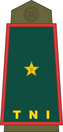 Brigadir Jenderal shoulder/sleeve insignia