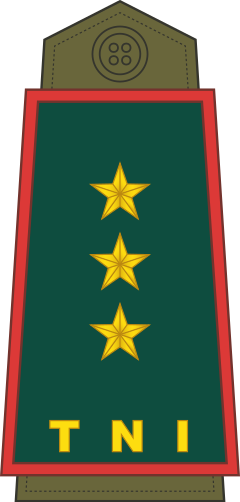 Letnan Jenderal shoulder/sleeve insignia