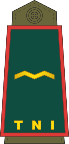 Pembantu Letnan Dua shoulder/sleeve insignia