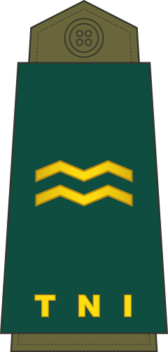 Pembantu Letnan Satu shoulder/sleeve insignia