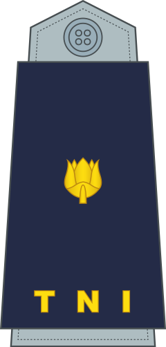 Mayor shoulder/sleeve insignia