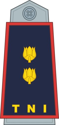 Letnan Kolonel shoulder/sleeve insignia