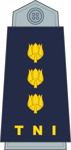 Kolonel shoulder/sleeve insignia