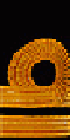 Lieutenant insignia