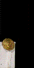 Midshipman insignia