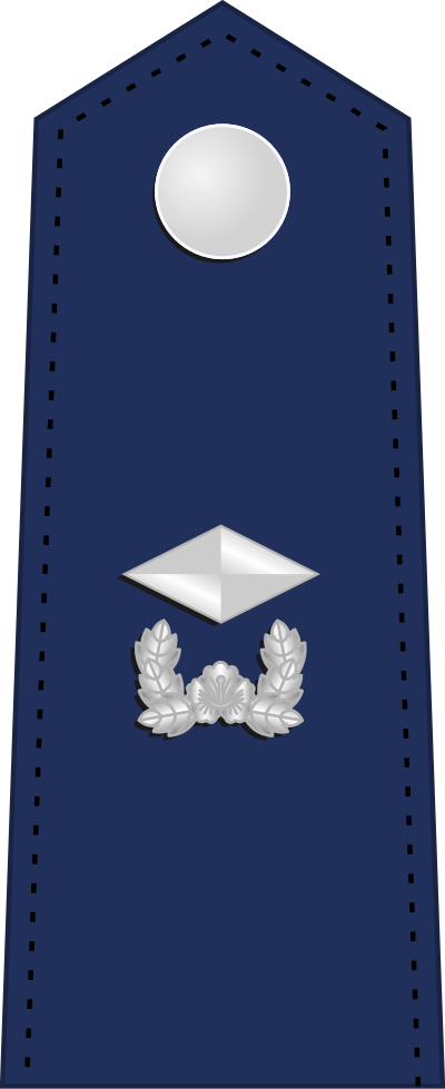 Sowi second lieutenant insignia