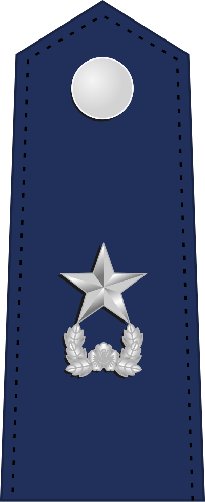 Junjang brigadier general insignia