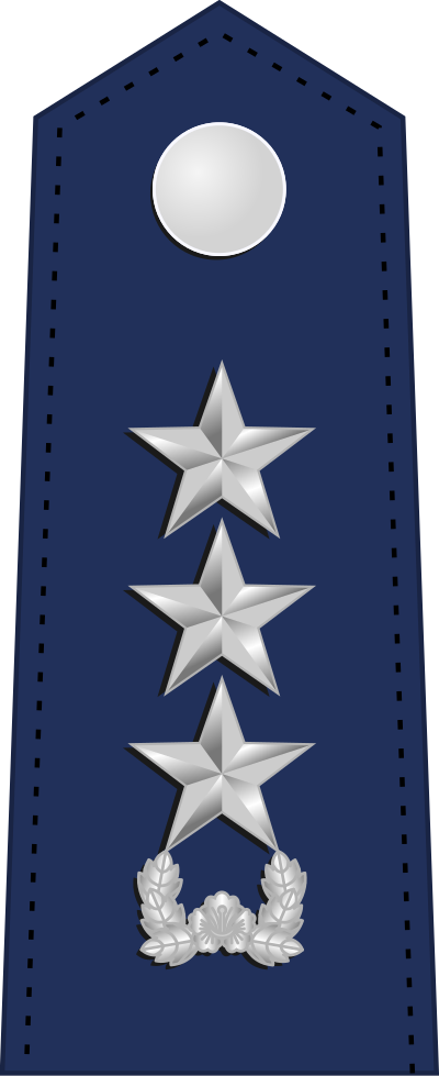 Jungjang lieutenant general insignia