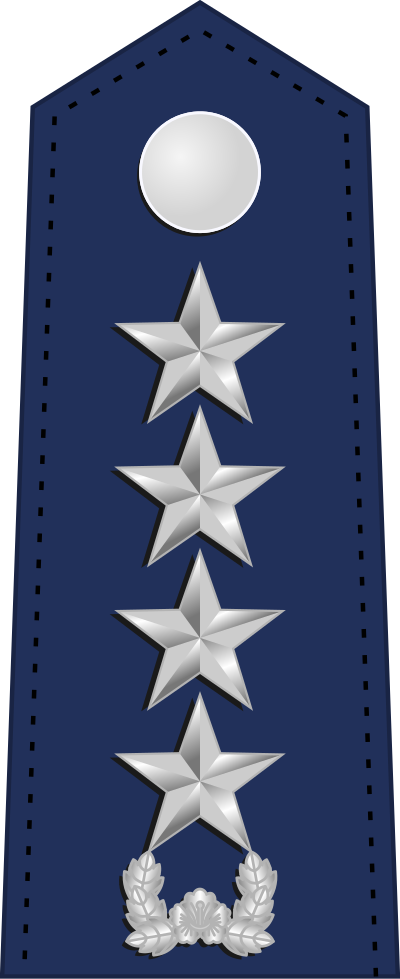 Daejang general insignia