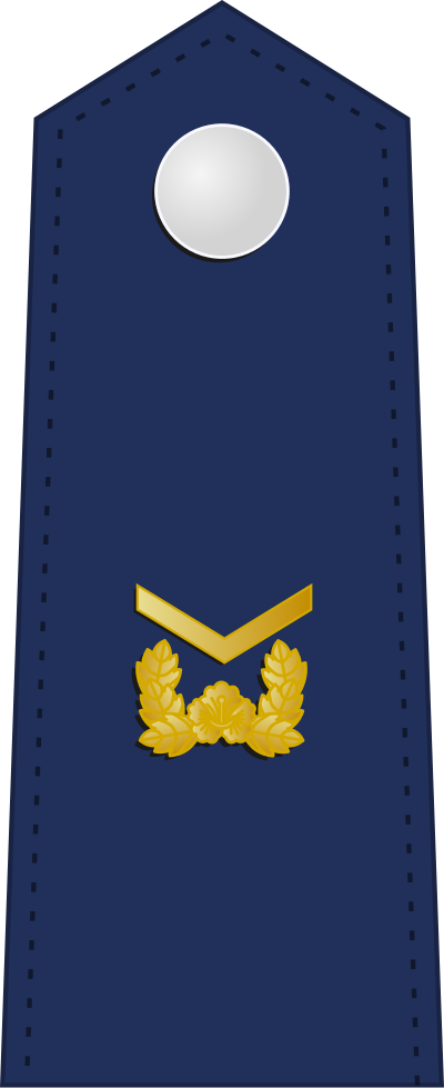 Hasa staff sergeant insignia