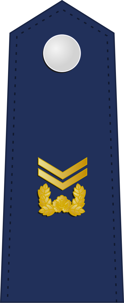 Jungsa technical sergeant insignia