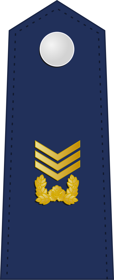 Sangsa master sergeant insignia