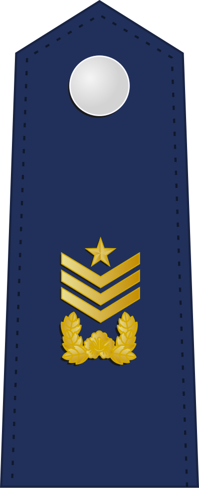 Wonsa chief master sergeant insignia