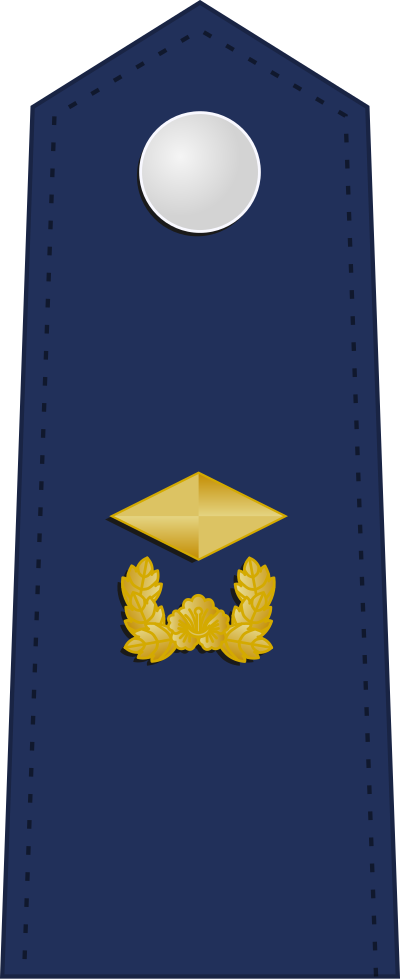 Junwi warrant officer insignia