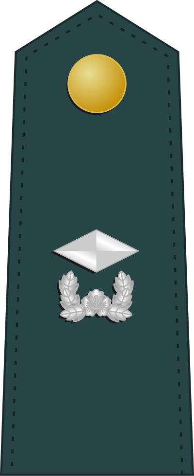 Sowi second lieutenant insignia